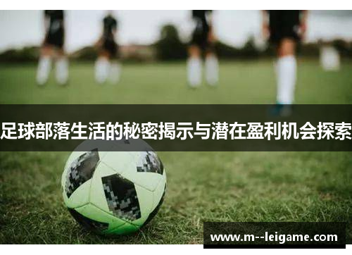 足球部落生活的秘密揭示与潜在盈利机会探索